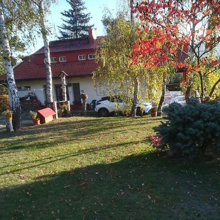 Villa Blanka Horní Podkozí Zewnętrze zdjęcie