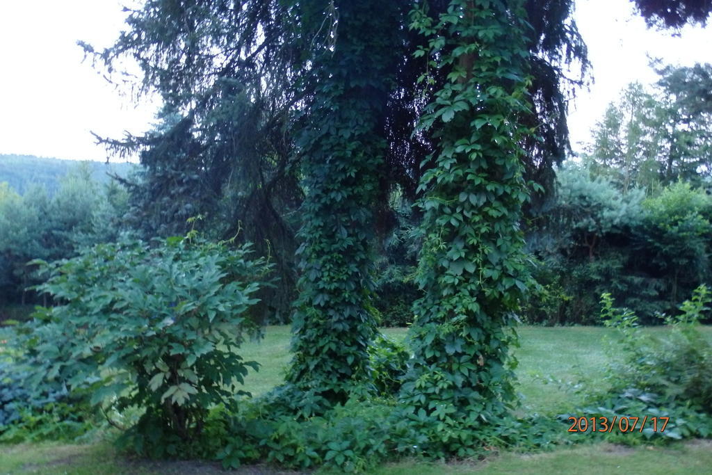 Villa Blanka Horní Podkozí Zewnętrze zdjęcie