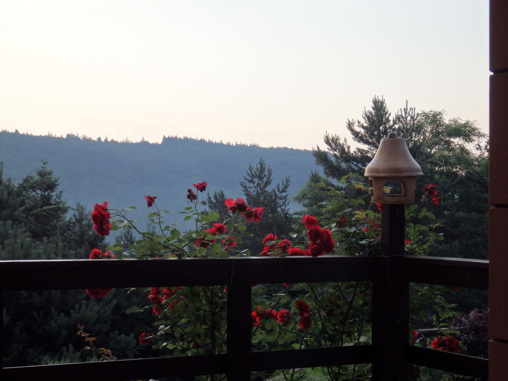 Villa Blanka Horní Podkozí Zewnętrze zdjęcie