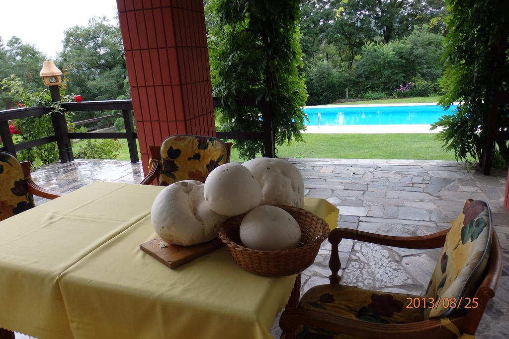 Villa Blanka Horní Podkozí Zewnętrze zdjęcie
