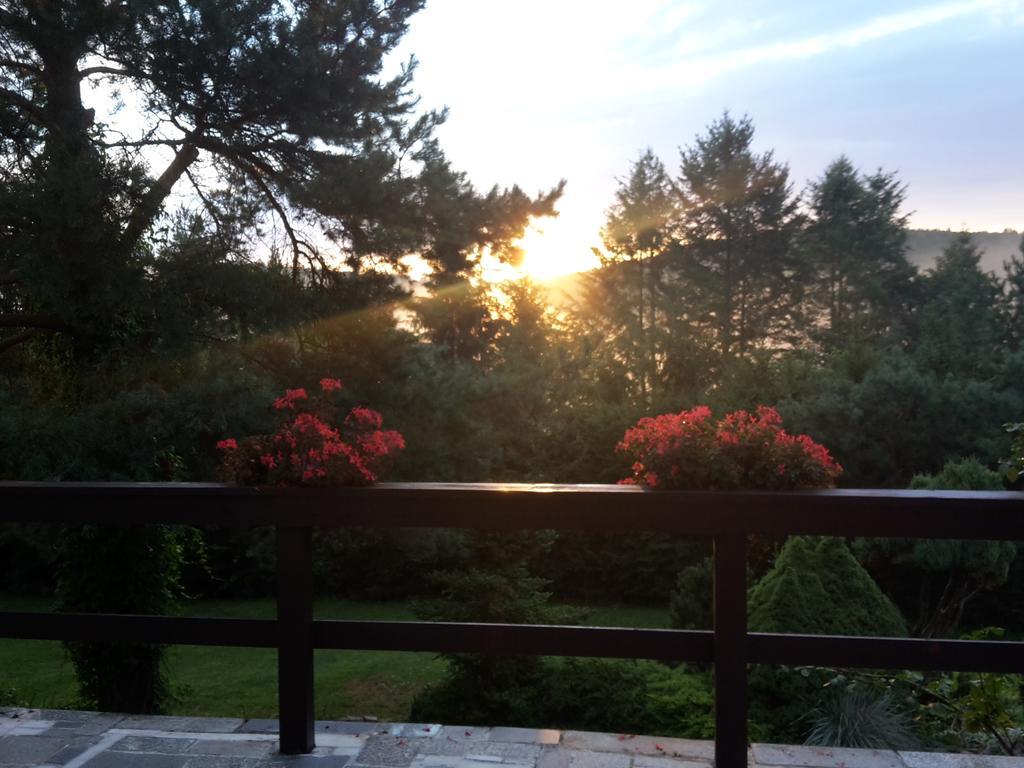 Villa Blanka Horní Podkozí Zewnętrze zdjęcie