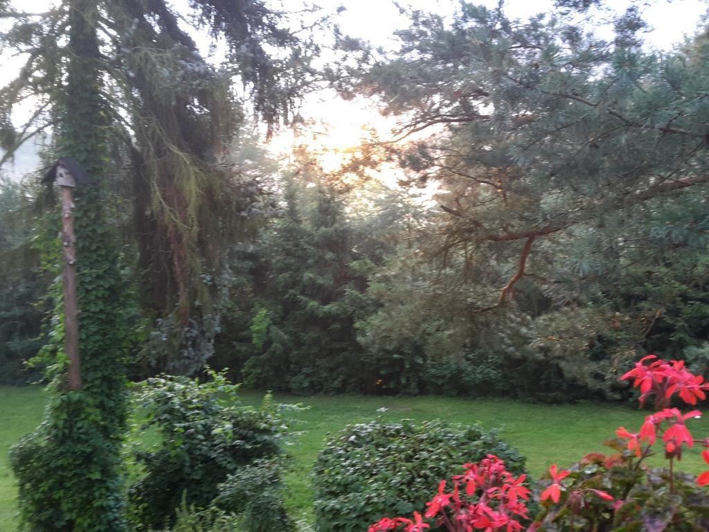 Villa Blanka Horní Podkozí Zewnętrze zdjęcie