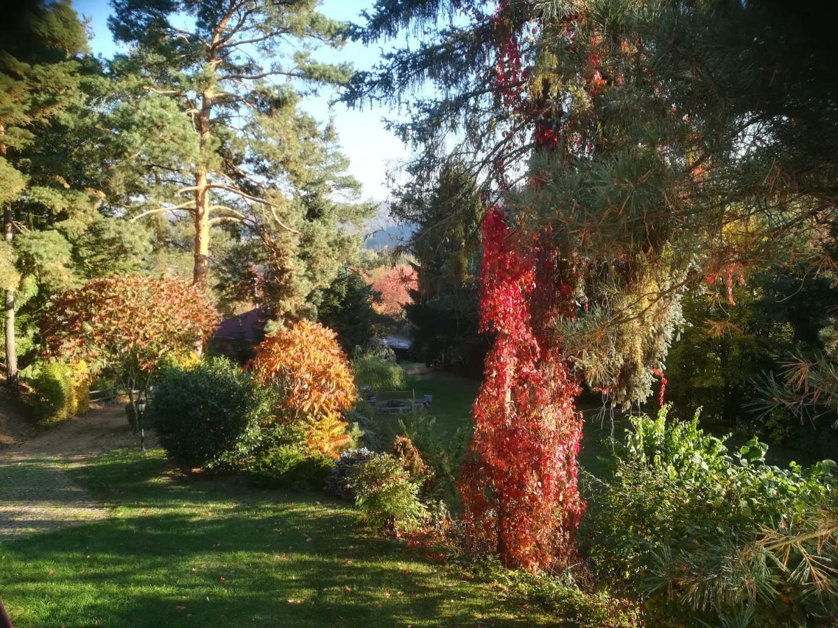 Villa Blanka Horní Podkozí Zewnętrze zdjęcie